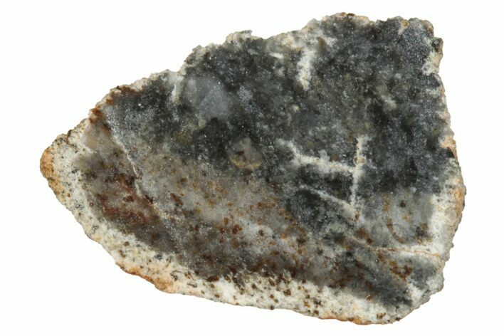 Lunar Meteorite ( g) Section - Bechar #348209